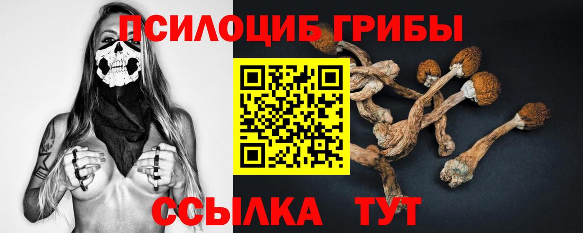 Псилоцибиновые грибы Psilocybine cubensis  хочу   Россошь  Вход с VPN 