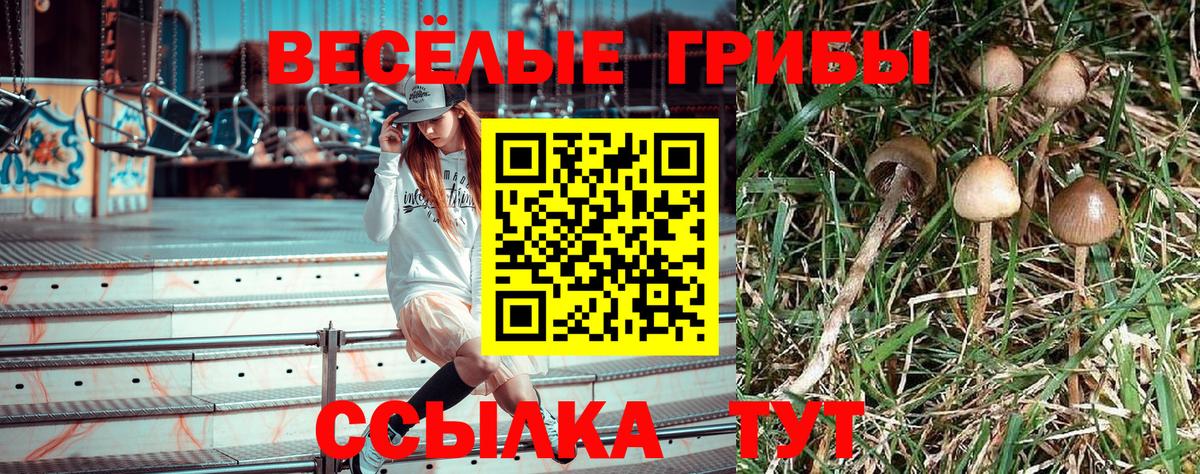Псилоцибиновые грибы мицелий  Галлюциногенные грибы Magic Shrooms  Россошь 
