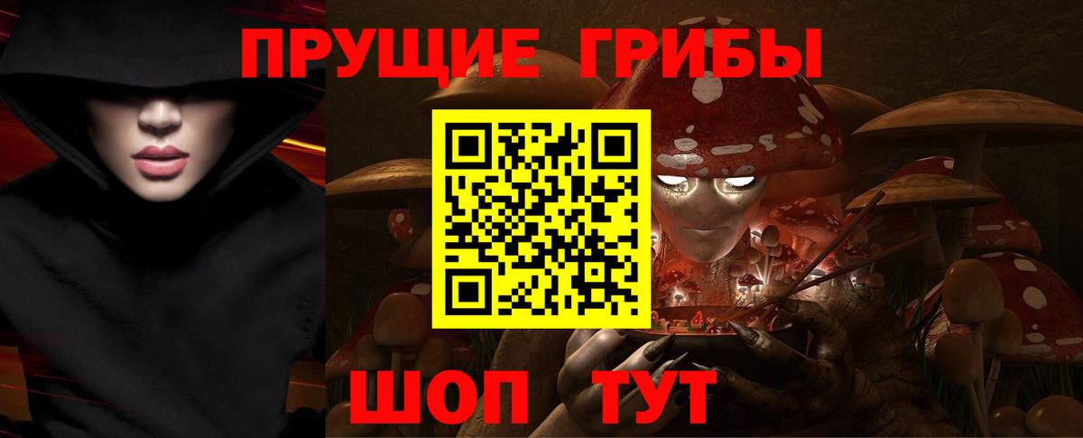 Псилоцибиновые грибы Psilocybe Россошь